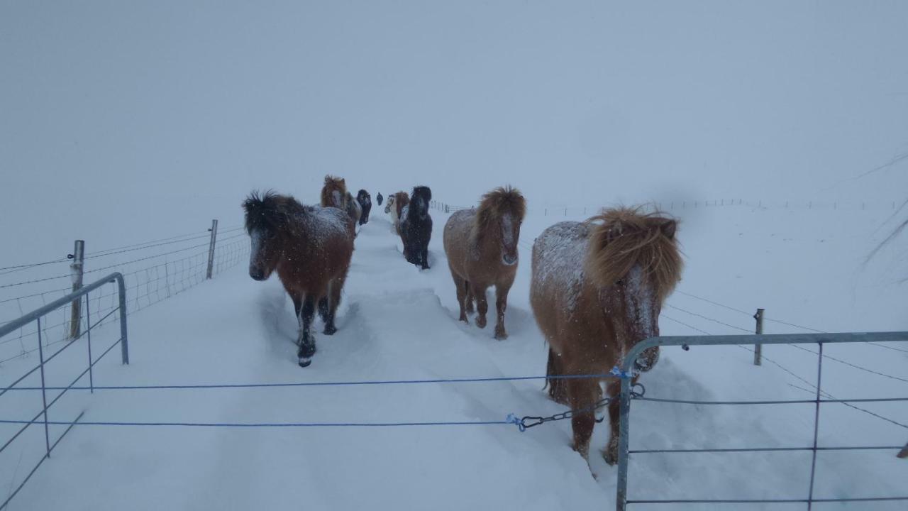 Guesthouse Steinsholt Stori Nupur Exteriör bild